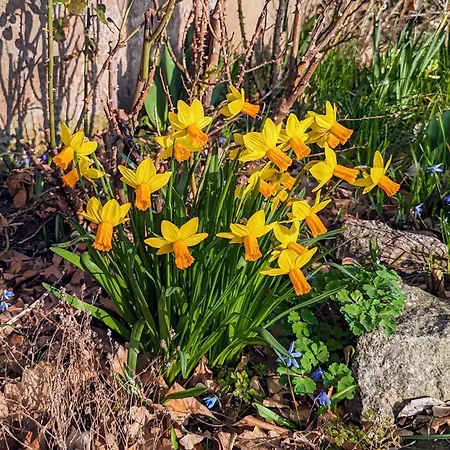 Land-gut-hotel Schenkenberger Hof