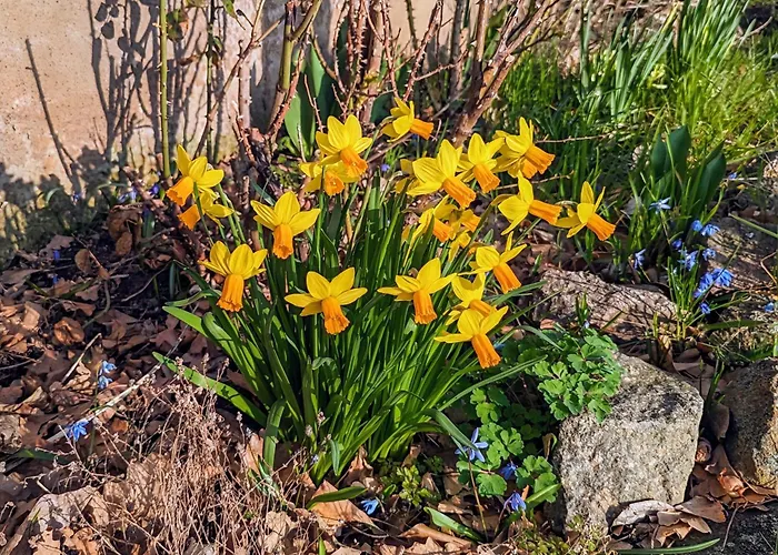 Land-gut-hotel Schenkenberger Hof