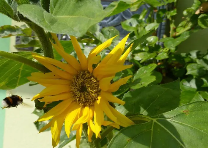 فندق Land-gut-hotel Schenkenberger Hof